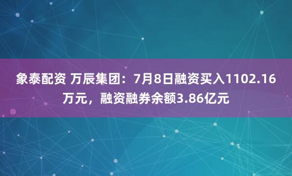 象泰配资 万辰集团：7月8日融资买入1102.16万元，融资融券余额3.86亿元