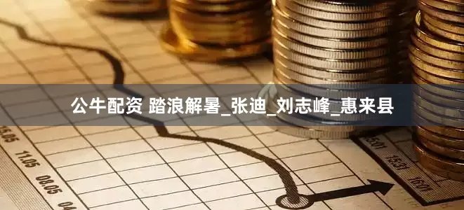 公牛配资 踏浪解暑_张迪_刘志峰_惠来县