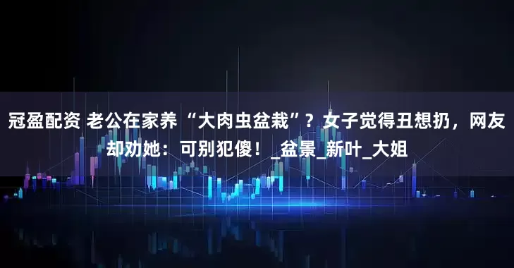 冠盈配资 老公在家养 “大肉虫盆栽”？女子觉得丑想扔，网友却劝她：可别犯傻！_盆景_新叶_大姐